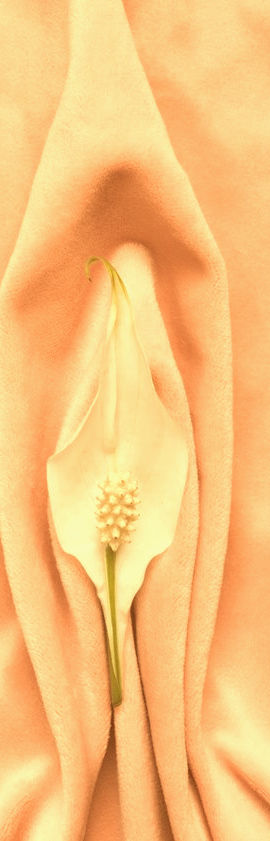 Tantra Massage Noord Holland